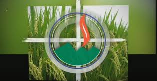 GĐ LÊ BẢO TỊNH