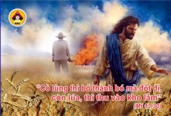 Lời Chúa CN 16 THƯỜNG NIÊN – A