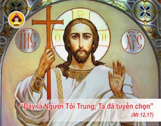 Lời Chúa THỨ BẢY TUẦN 15 THƯỜNG NIÊN