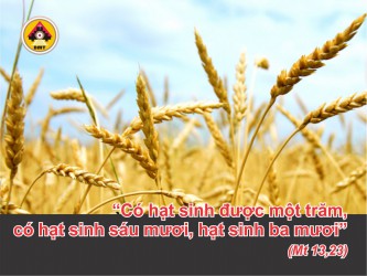 Lời Chúa THỨ SÁU TUẦN 16 THƯỜNG NIÊN