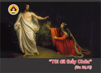 Lời Chúa THỨ TƯ TUẦN 16 THƯỜNG NIÊN