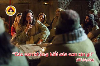 Lời Chúa THỨ BẢY TUẦN 16 THƯỜNG NIÊN