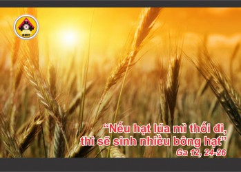 Lời Chúa THỨ BẢY TUẦN 28 THƯỜNG NIÊN