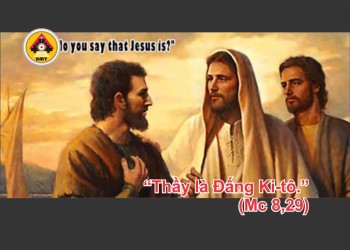 Lời Chúa THỨ NĂM TUẦN 6 THƯỜNG NIÊN