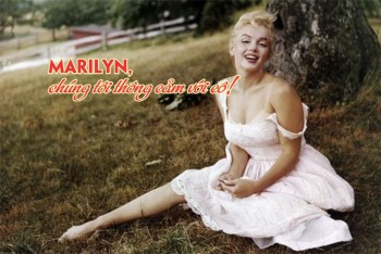 Marilyn, chúng tôi thông cảm với cô