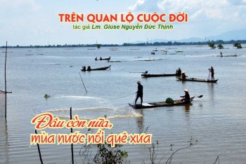 Đâu còn nữa, mùa nước nổi quê xưa