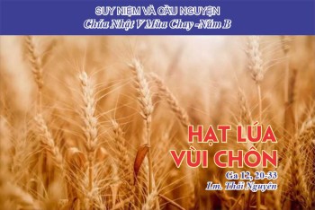 Hạt Lúa Vùi Chôn (Ga 12, 20-33)