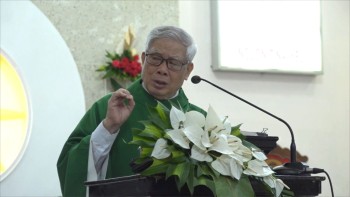 Bài giảng lễ Chúa Nhật XVI Thường Niên -B