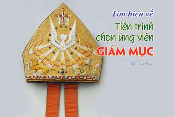 Tìm hiểu về Tiến trình chọn ứng viên giám mục