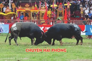 Chuyện Hải Phòng -4