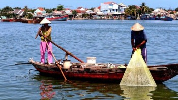 Toà Thánh gửi sứ điệp Ngày Thuỷ sản Thế giới