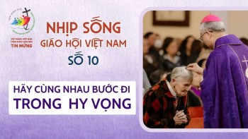 Nhịp sống Giáo hội Việt Nam số 10