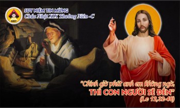 cn19tnc 3