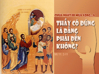 “Chúng tôi phải làm gì?”