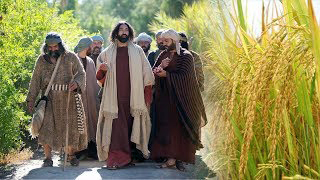 Thợ được nuôi ăn.