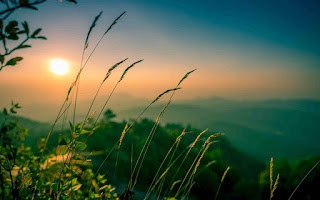 Trở về để sống!