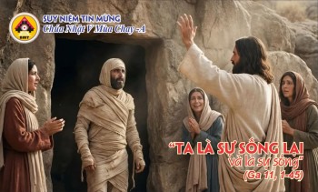 SNTM Chúa Nhật V Thường Niên -Năm A