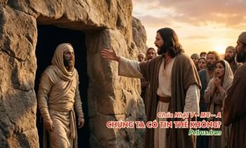 Chúng ta có tin thế không?