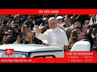 [Trực tiếp] Buổi Tiếp kiến chung hằng tuần