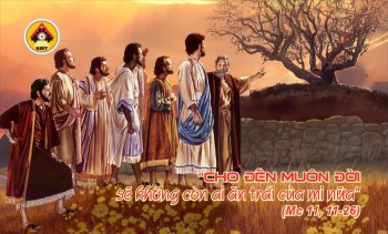 Lời Chúa THỨ SÁU TUẦN 8 THƯỜNG NIÊN