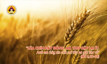 Lời Chúa THỨ BA TUẦN 14 THƯỜNG NIÊN