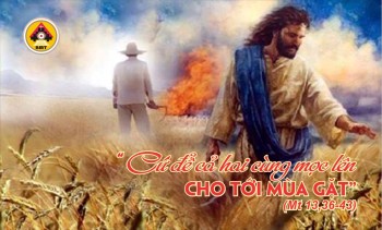 Lời Chúa THỨ BA TUẦN 17 THƯỜNG NIÊN