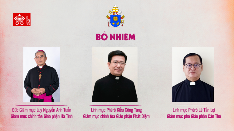 ĐTC bổ nhiệm Giám mục Hà Tĩnh, Phát Diệm và Cần Thơ