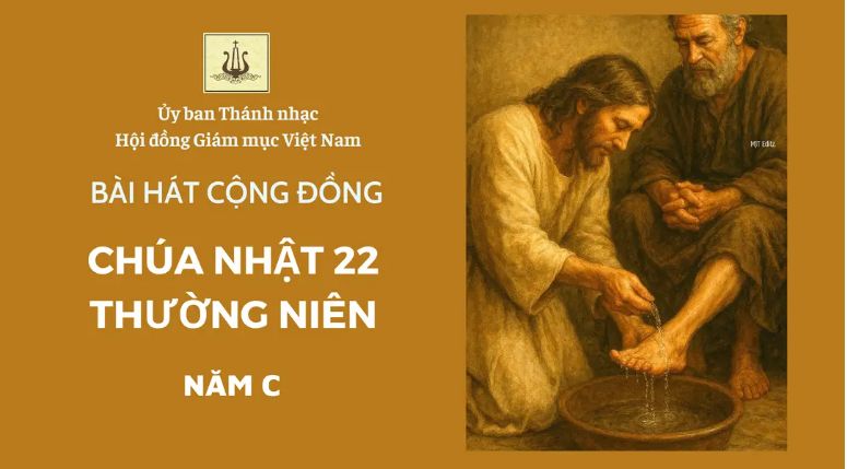 vn250825a