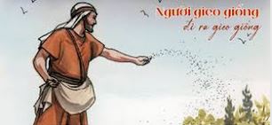 Những hạt không sinh hoa trái