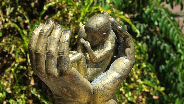 ĐTC mời gọi Bảo vệ sự sống